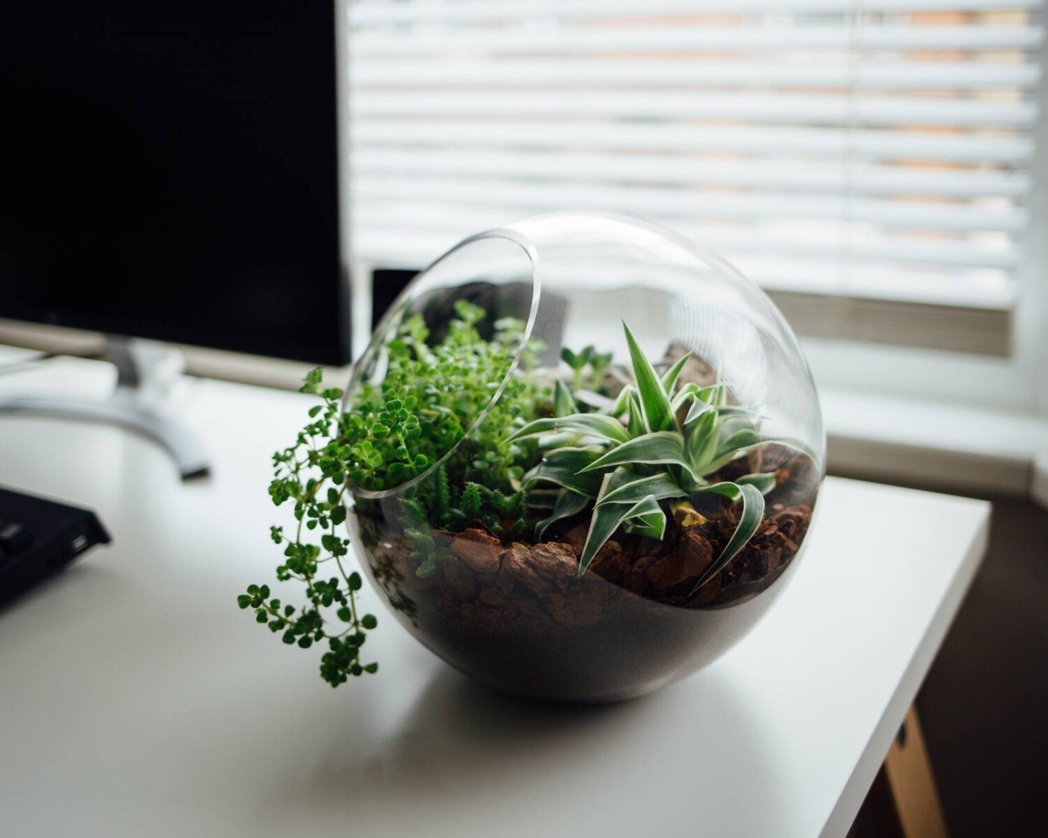 Ecological System in Office